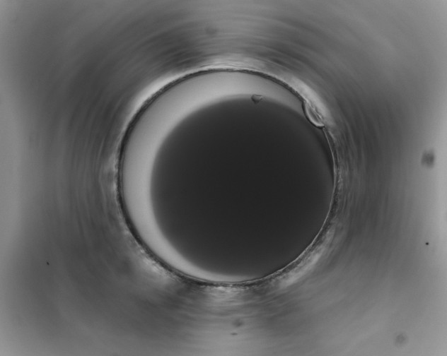 X0000101980854200808011058