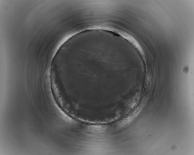 X0000101980855200808011058