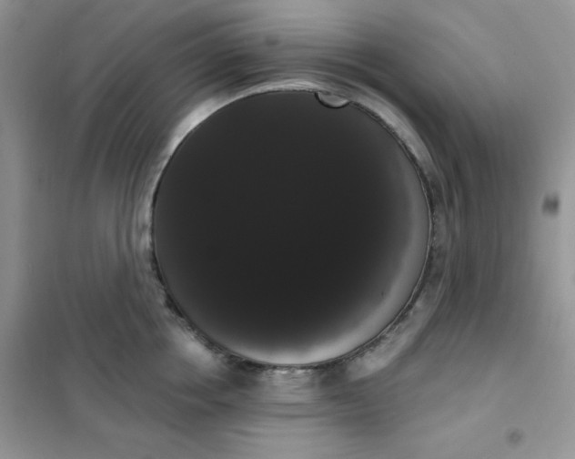 X0000101980858200808011058