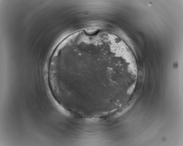 X0000101980859200808011058