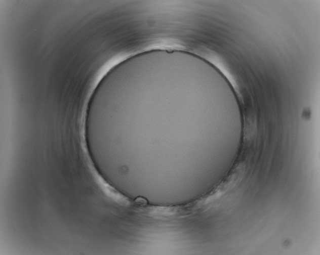 X0000101980861200808011058