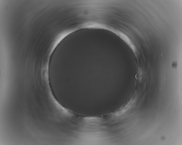 X0000101980863200808011058