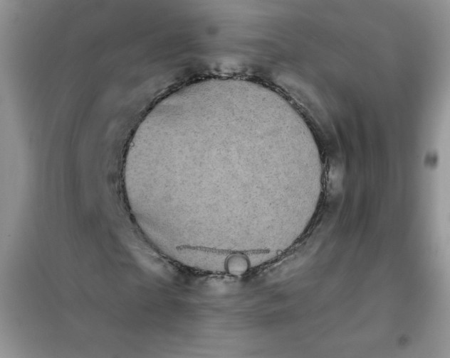 X0000101980865200808011057