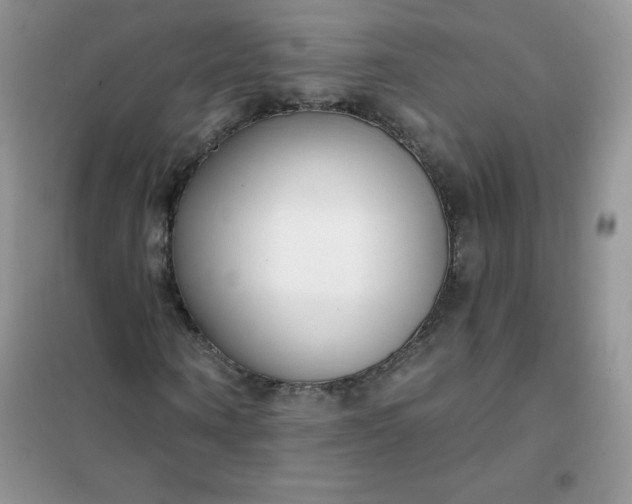 X0000101980866200808011057