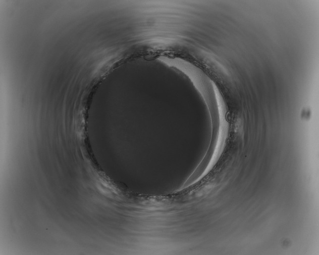 X0000101980868200808011057