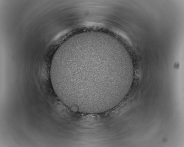 X0000101980869200808011057