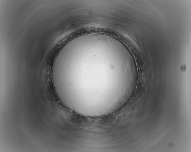 X0000101980870200808011057