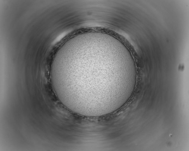 X0000101980871200808011057