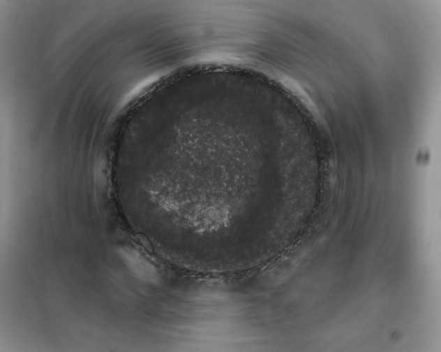 X0000101980872200808011057