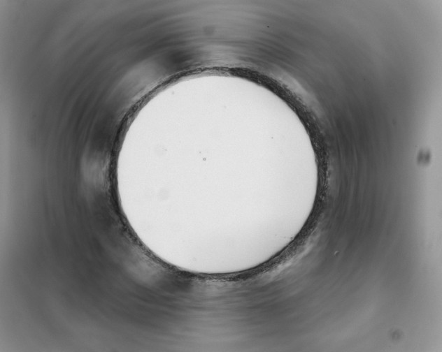 X0000101980873200808011057