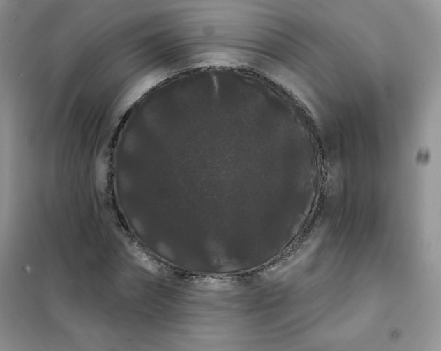 X0000101980874200808011057