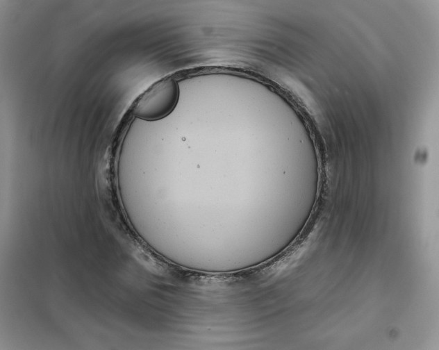 X0000101980875200808011057