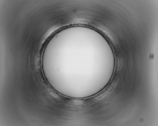 X0000101980878200808011057