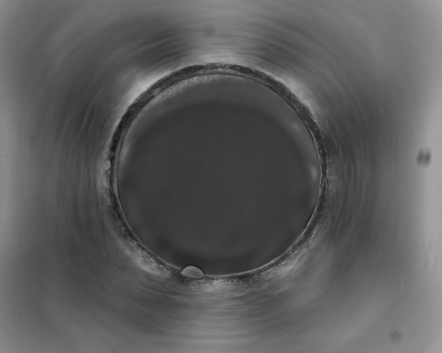 X0000101980879200808011057