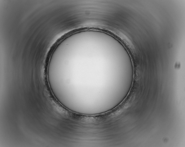 X0000101980880200808011057