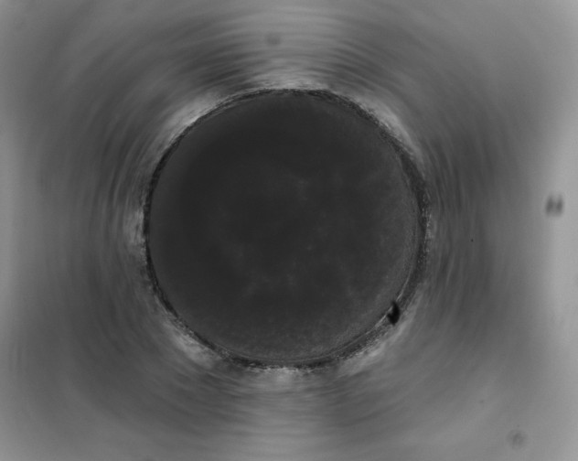 X0000101980881200808011057