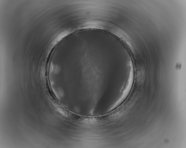 X0000101980882200808011057