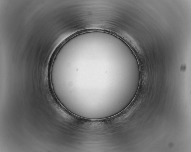 X0000101980884200808011057