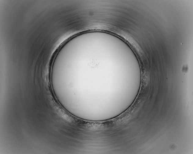 X0000101980886200808011057