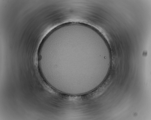 X0000101980887200808011057