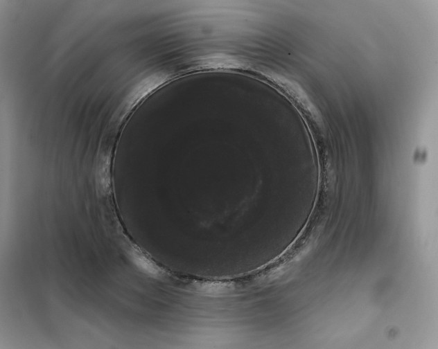 X0000101980889200808011057