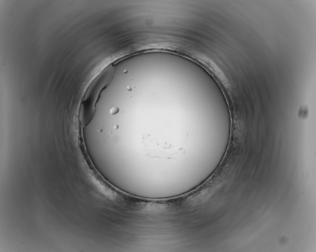 X0000101980890200808011057