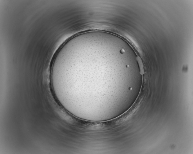 X0000101980891200808011057