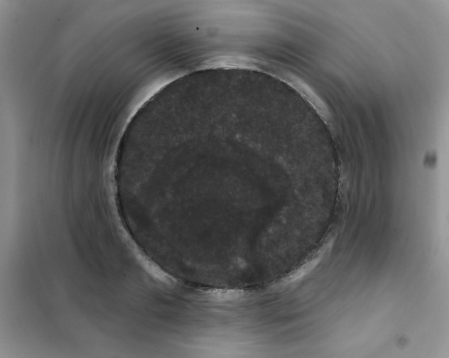 X0000101980893200808011057