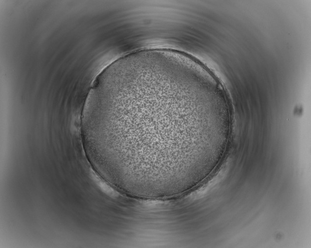 X0000101980897200808011057