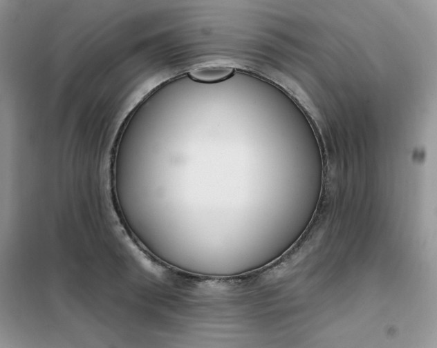 X0000101980898200808011057