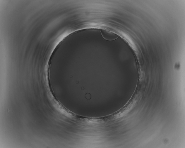 X0000101980899200808011057