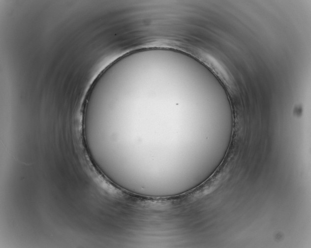 X0000101980900200808011057