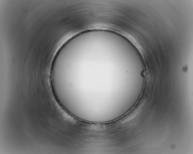 X0000101980901200808011057