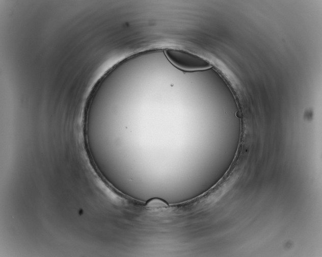 X0000101980902200808011057