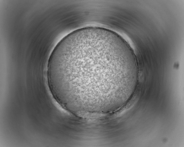 X0000101980903200808011057