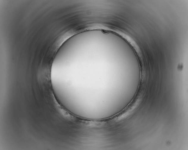 X0000101980905200808011057