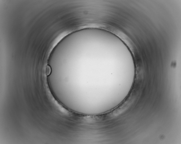 X0000101980906200808011057