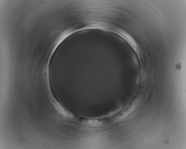 X0000101980907200808011057