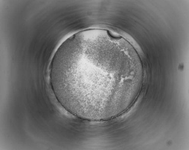 X0000101980908200808011057