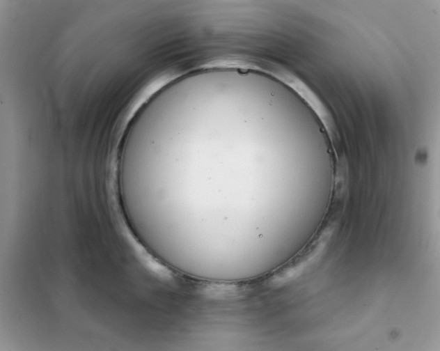 X0000101980909200808011057