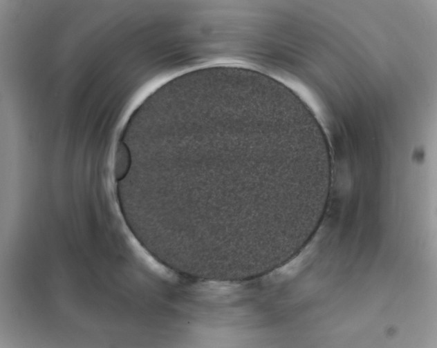 X0000101980910200808011057