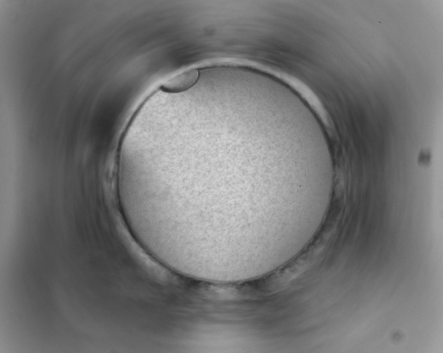 X0000101980911200808011057