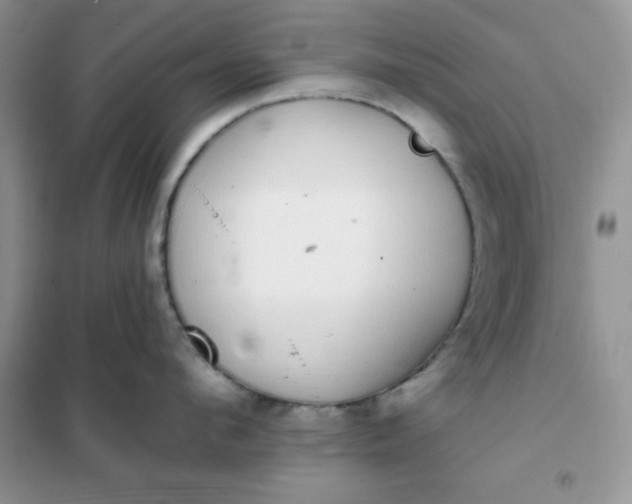 X0000101980912200808011057