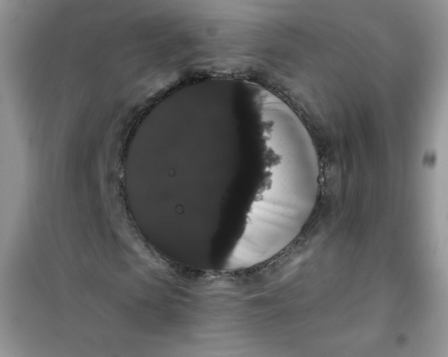 X0000101980913200808011056