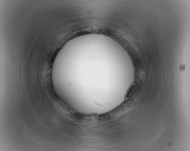 X0000101980914200808011056