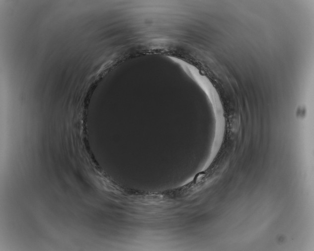 X0000101980916200808011056