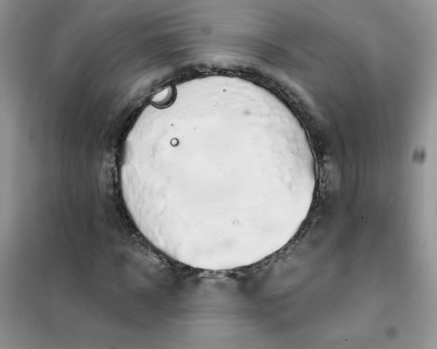 X0000101980918200808011056