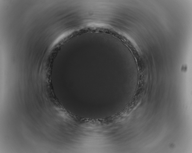 X0000101980919200808011056