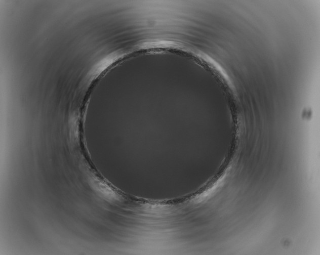 X0000101980921200808011056