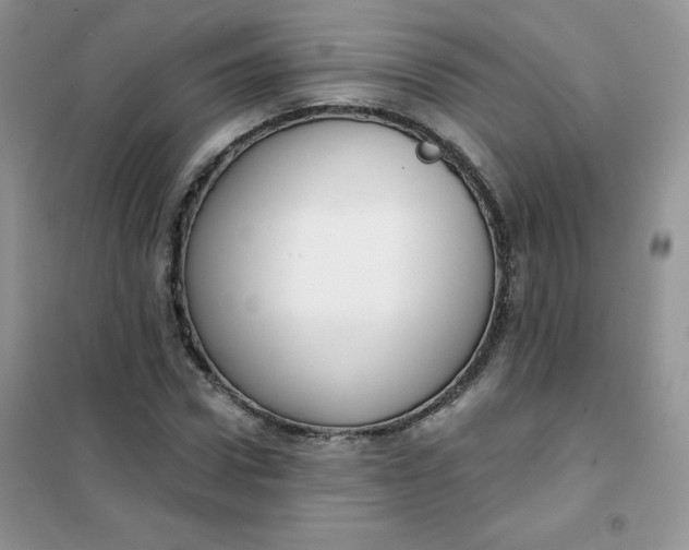 X0000101980922200808011056